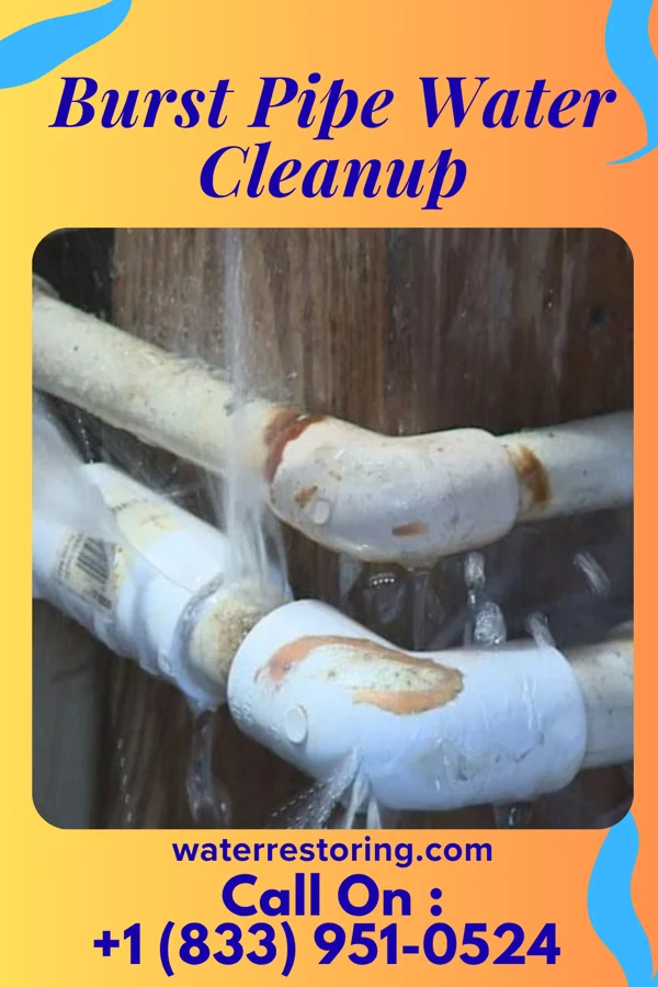 Burst Pipe Water Cleanup in Dwight, ND