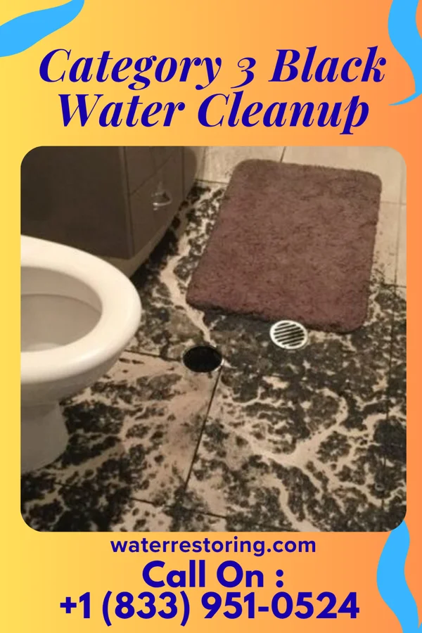 Category 3 Black Water Cleanup in Dwight, ND