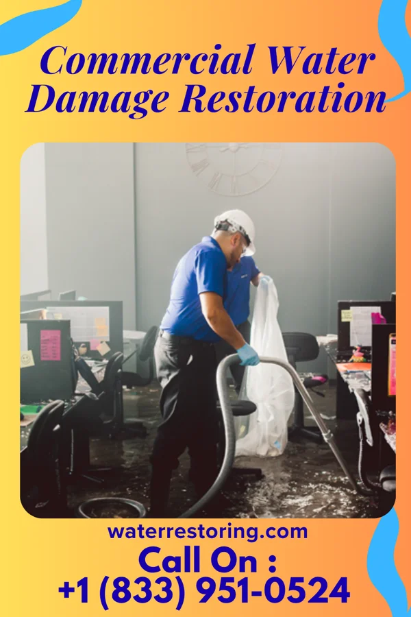 Commercial Water Damage Restoration in Dwight, ND