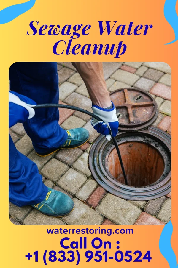 Sewage Water Cleanup in Dwight, ND