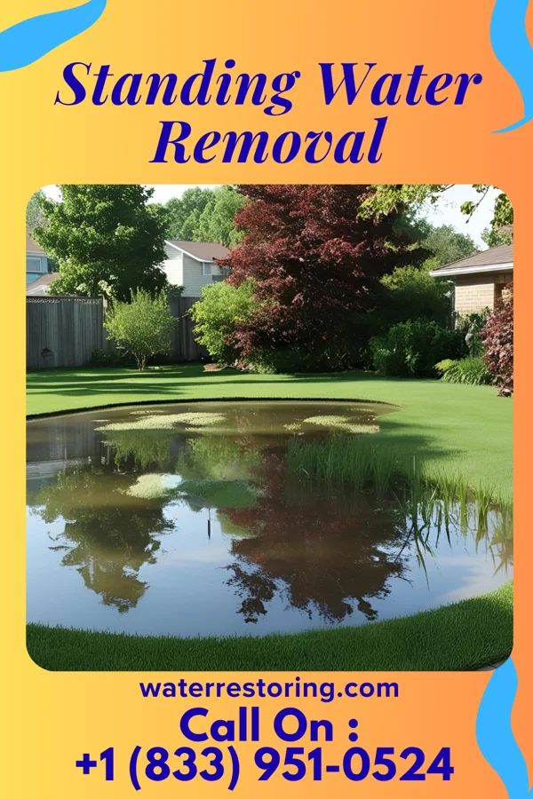 Standing Water Removal in Dwight, ND